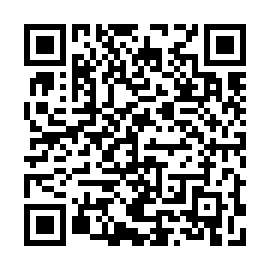 QR 338ad38