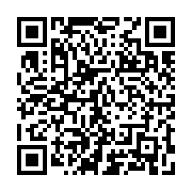 QR 338e599