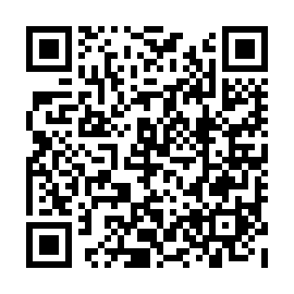 QR 338e9a3