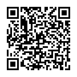QR 339b037