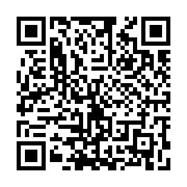 QR 33a3316