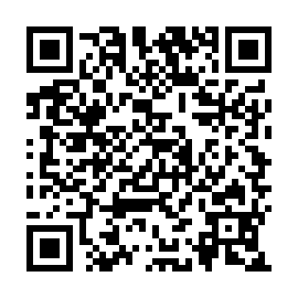 QR 33a95b5