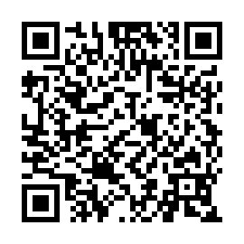 QR 33b0393