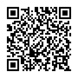 QR 33c3890