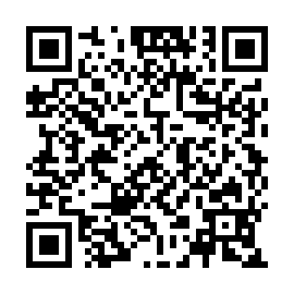 QR 33d46c3