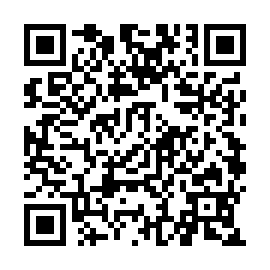 QR 33d738f