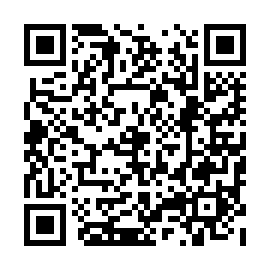 QR 33dd041