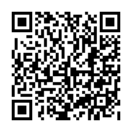 QR 33ebe29