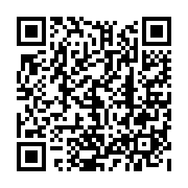 QR 369aa95