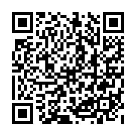 QR 377df84