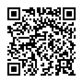 QR 379d981