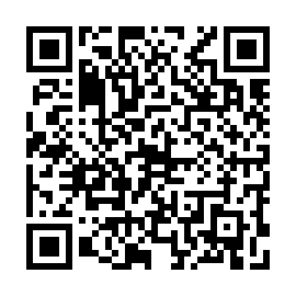 QR 381a904