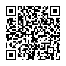 QR 382ede9