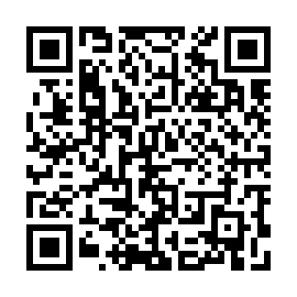 QR 38333e6