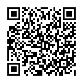 QR 383b33c