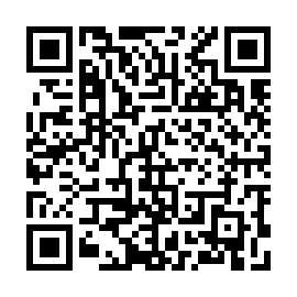 QR 383b516
