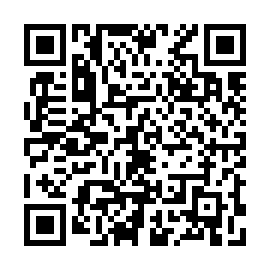 QR 383ca19