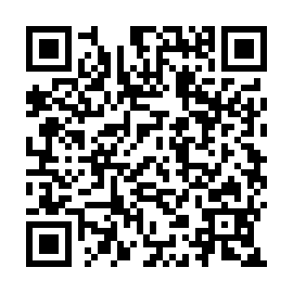 QR 383dac2