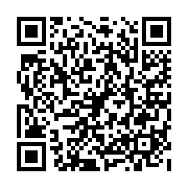 QR 384a294