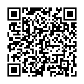 QR 384bc99