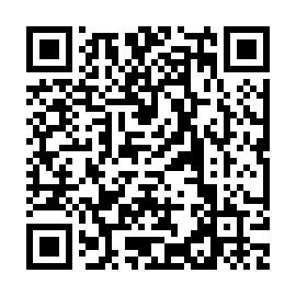 QR 384c833