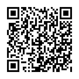 QR 384e535