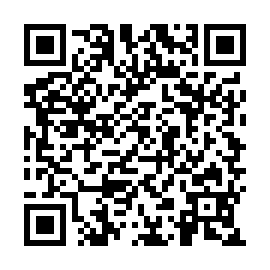 QR 386b535