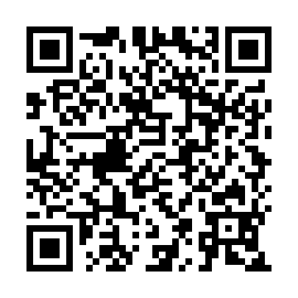 QR 386f811