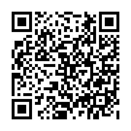 QR 3878503