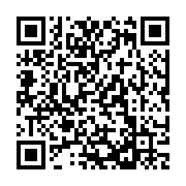 QR 387b981