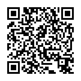 QR 387cde9