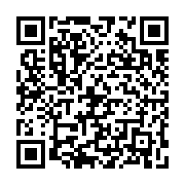 QR 3884981