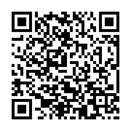 QR 3893e8b
