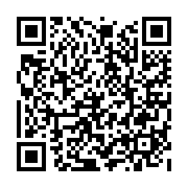 QR 389a254
