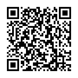 QR 38b2839