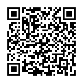 QR 38cc211