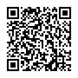 QR 38f0639