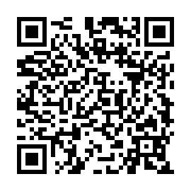 QR 38fa334