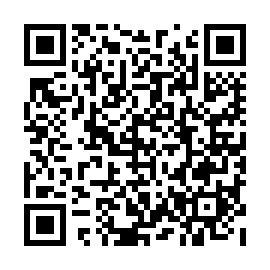 QR 390a13e