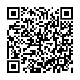 QR 390b523