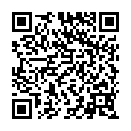 QR 390d691
