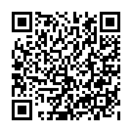 QR 3931206