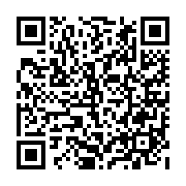 QR 3935653
