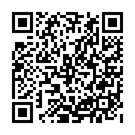 QR 3938783