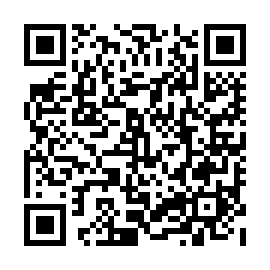 QR 393a663