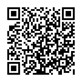 QR 393a8bb