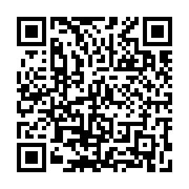 QR 393c776