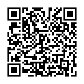 QR 393cc9c