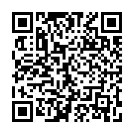 QR 393e839