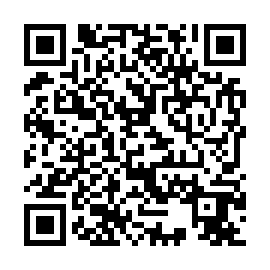 QR 3971319
